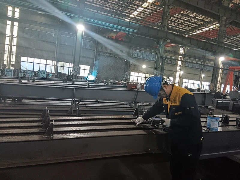 Chile steel structure warehouse fabrication22 Chile steel structure warehouse fabrication22